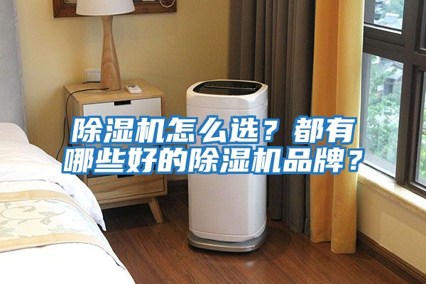 除濕機(jī)怎么選？都有哪些好的除濕機(jī)品牌？