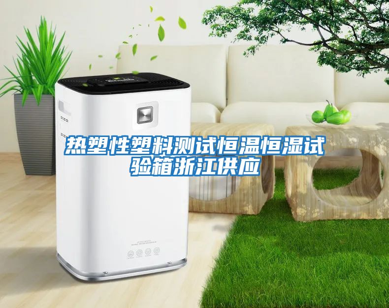 熱塑性塑料測試恒溫恒濕試驗箱浙江供應(yīng)