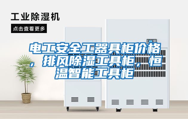 電工安全工器具柜價格，排風(fēng)除濕工具柜，恒溫智能工具柜