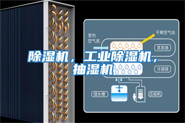 除濕機,工業除濕機,抽濕機
