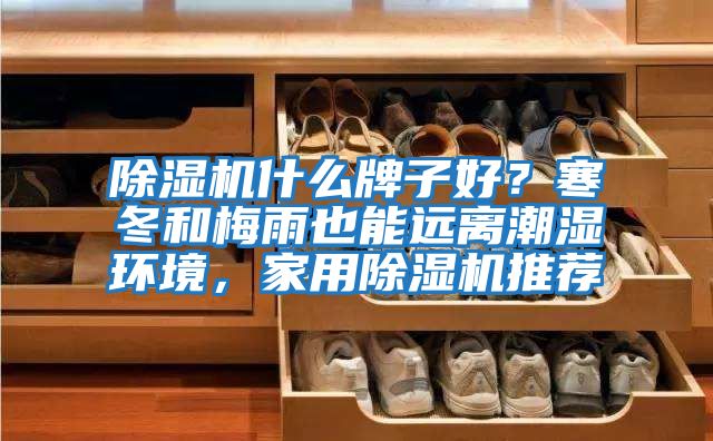 除濕機什么牌子好？寒冬和梅雨也能遠離潮濕環境，家用除濕機推薦