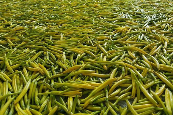 無(wú)硫金針菜烘干如何保持品相？不發(fā)黑？