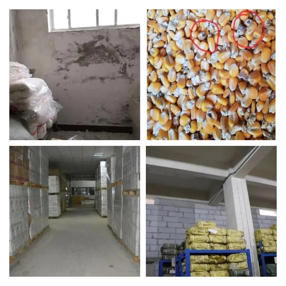 稿定設計導出-20211214-141923